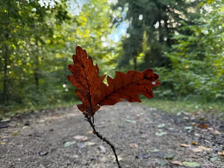 Eksempelbilder tatt med Apple iPhone 17 Pro Max-kameraet