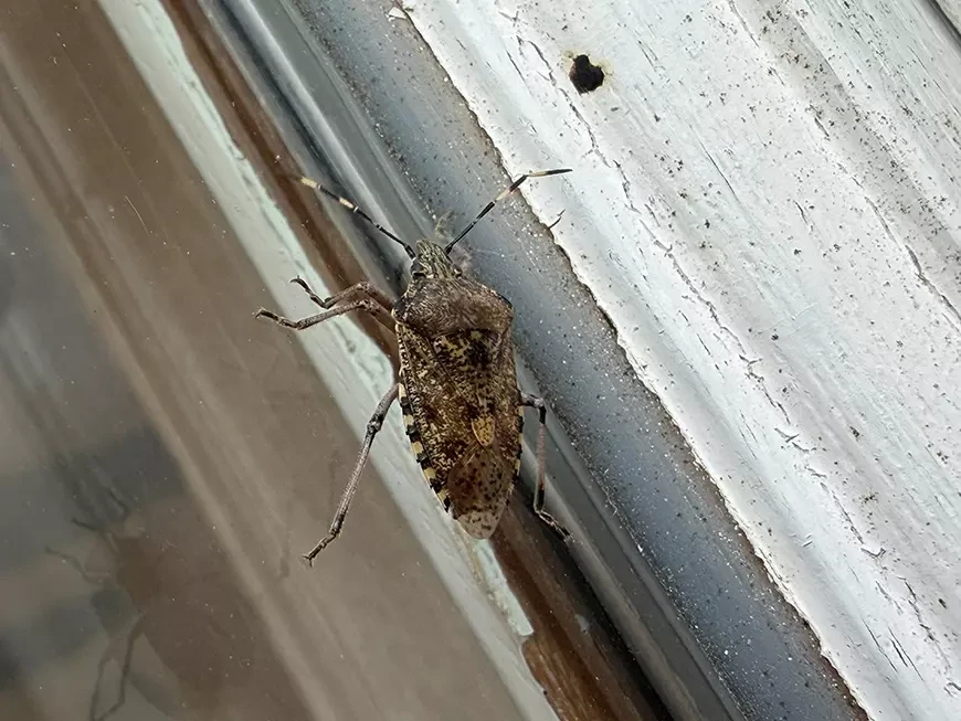 Eksempelbilder tatt med Apple iPhone 17 Pro Max-kameraet