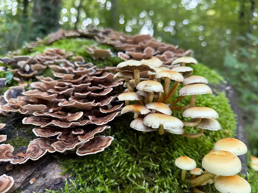 Eksempelbilder tatt med Apple iPhone 17 Pro Max-kameraet