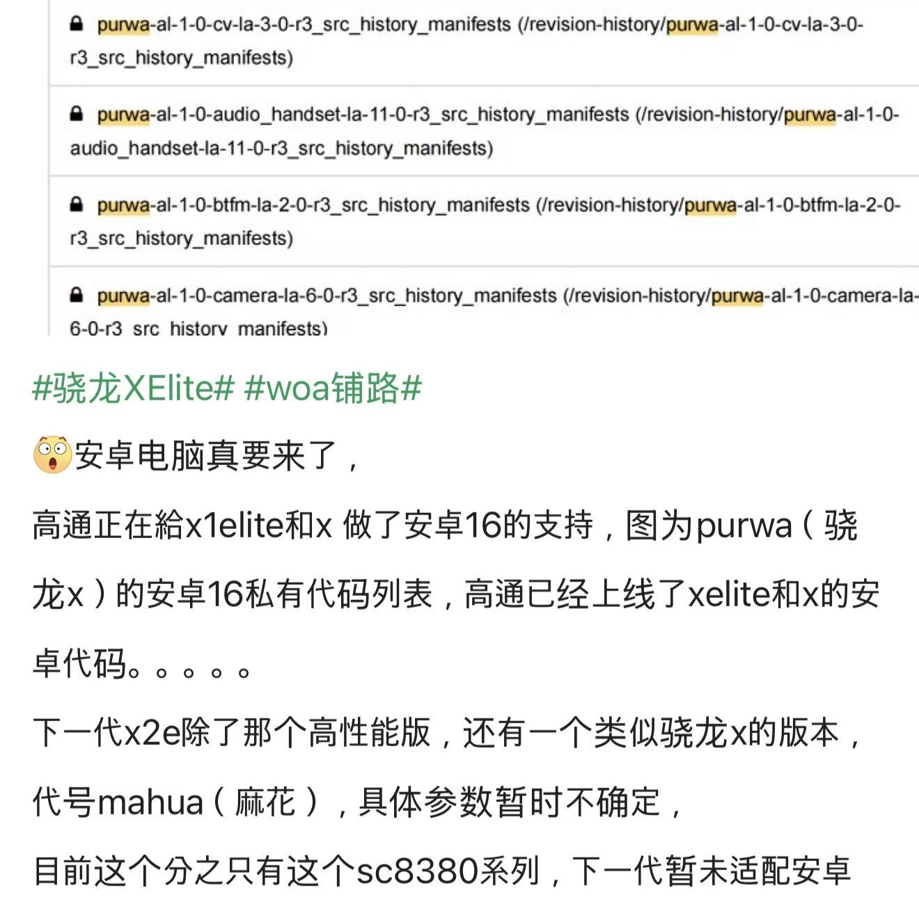 Kilden til klassifisert informasjon klarte å få tak i kodebiter beregnet på Purwa (kodenavnet for Snapdragon X-prosessoren), som indikerer støtte for operativsystemet Android 16. 