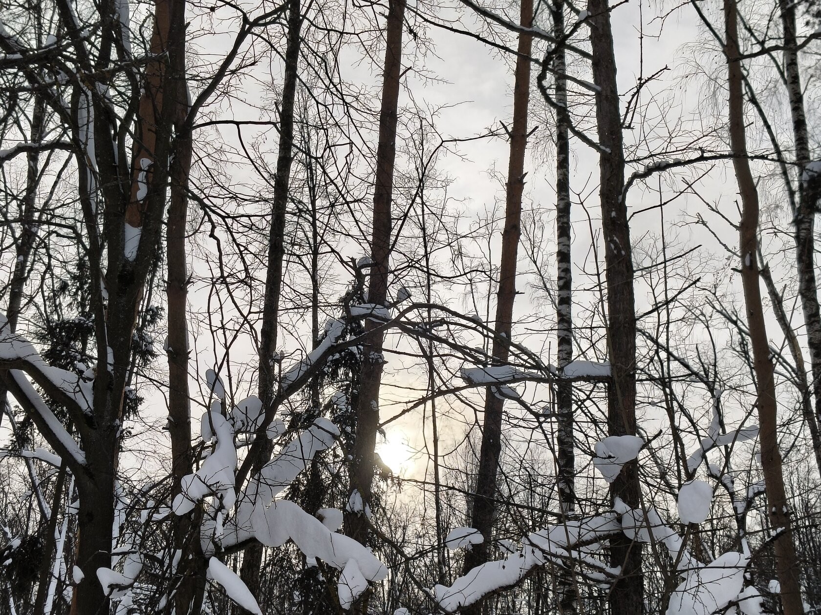 På bildene som ble tatt for denne anmeldelsen, la jeg ikke merke til noen uskarpe detaljer, problemer med behandling av lyskilder om natten, eller kornethet eller støy i mørke områder. Flaggskip-smarttelefoner vil utvilsomt ta enda bedre bilder, men for denne prisklassen er resultatene utmerkede.