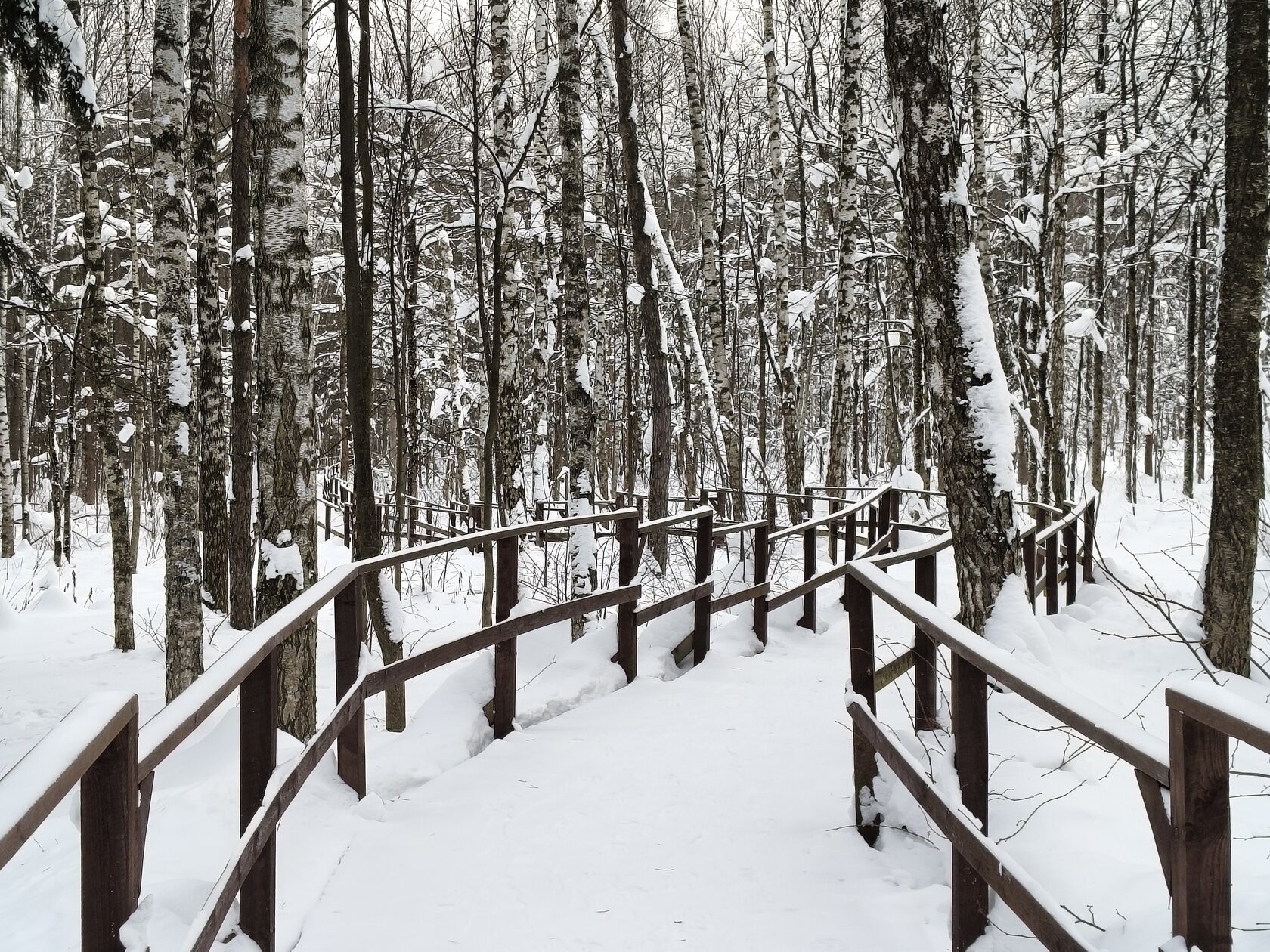 På bildene som ble tatt for denne anmeldelsen, la jeg ikke merke til noen uskarpe detaljer, problemer med behandling av lyskilder om natten, eller kornethet eller støy i mørke områder. Flaggskip-smarttelefoner vil utvilsomt ta enda bedre bilder, men for denne prisklassen er resultatene utmerkede.