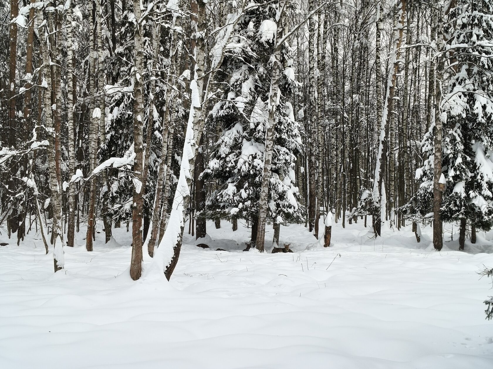På bildene som ble tatt for denne anmeldelsen, la jeg ikke merke til noen uskarpe detaljer, problemer med behandling av lyskilder om natten, eller kornethet eller støy i mørke områder. Flaggskip-smarttelefoner vil utvilsomt ta enda bedre bilder, men for denne prisklassen er resultatene utmerkede.